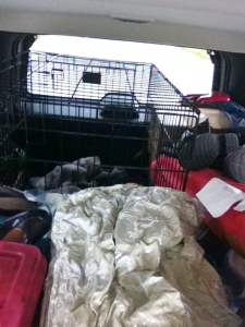 The back of the jeep packed with Gunner's crate set up